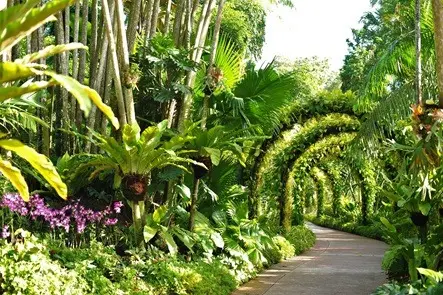 taman anggrek nasional