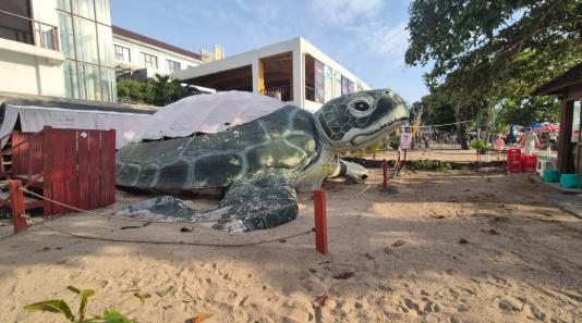 Kuta Beach Sea Turtle Conservation