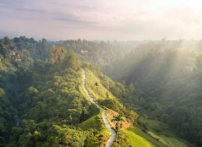 Pemandangan sunset di Campuhan Ridge Walk Ubud dengan siluet ilalang dan lembah sungai yang tenang di sore hari.