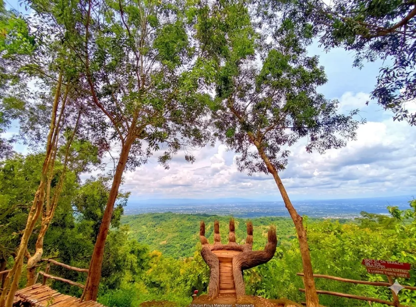 spot foto hutan pinus mangunan yogyakarta spot foto berbentuk telapak tangan di hutan pinus mangunan yogyakarta