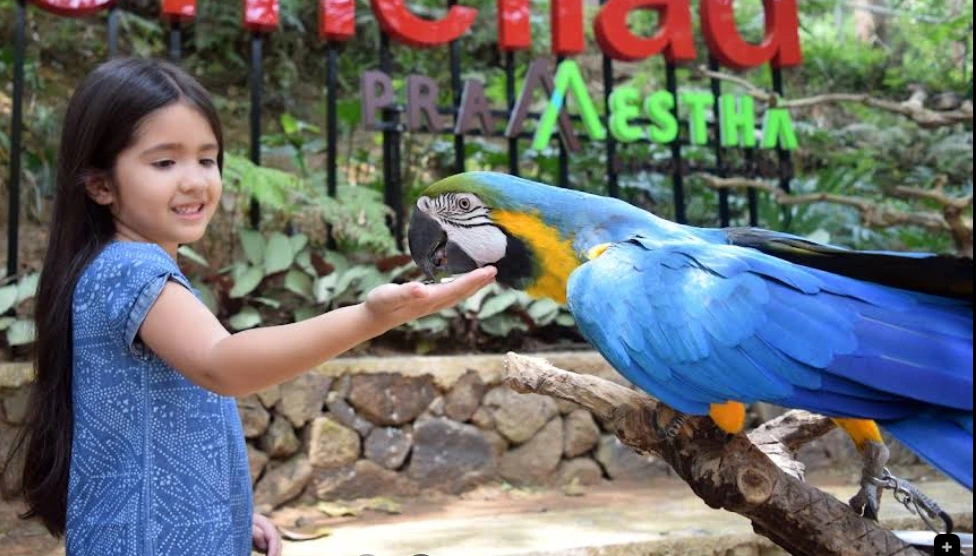 Bird & Bromelia Pavilion bandung