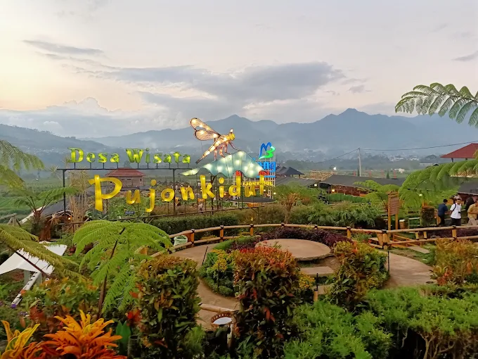 pemandangan sawah di desa wisata pujon kidul saat sore hari