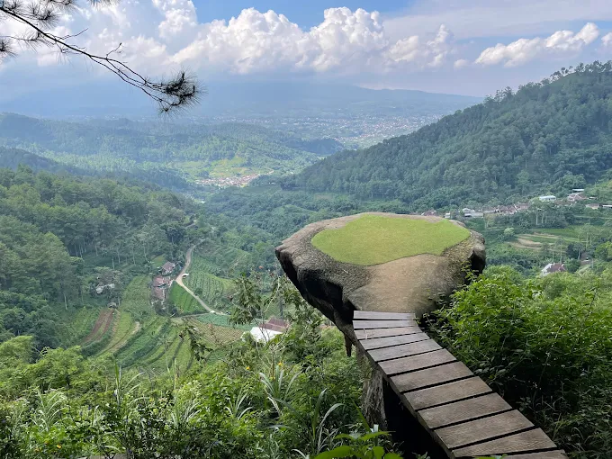 spot foto goa pinus menghadap pemandangan kota batu dari atas