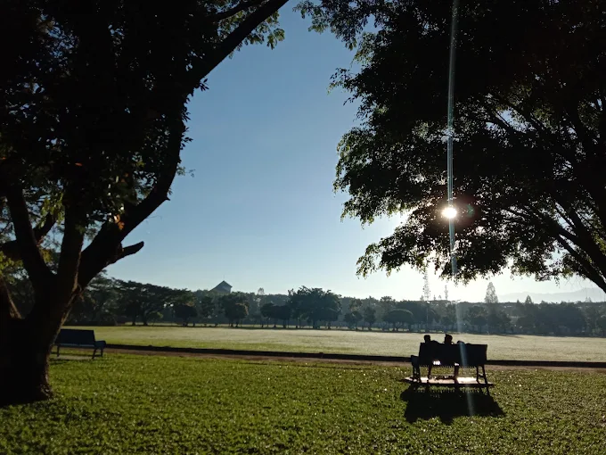 suasana pagi hari di lapangan rampal malang