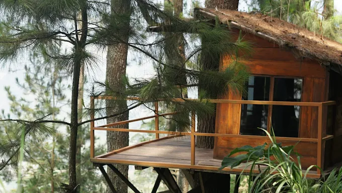 rumah kayu di wisata omah kayu batu malang