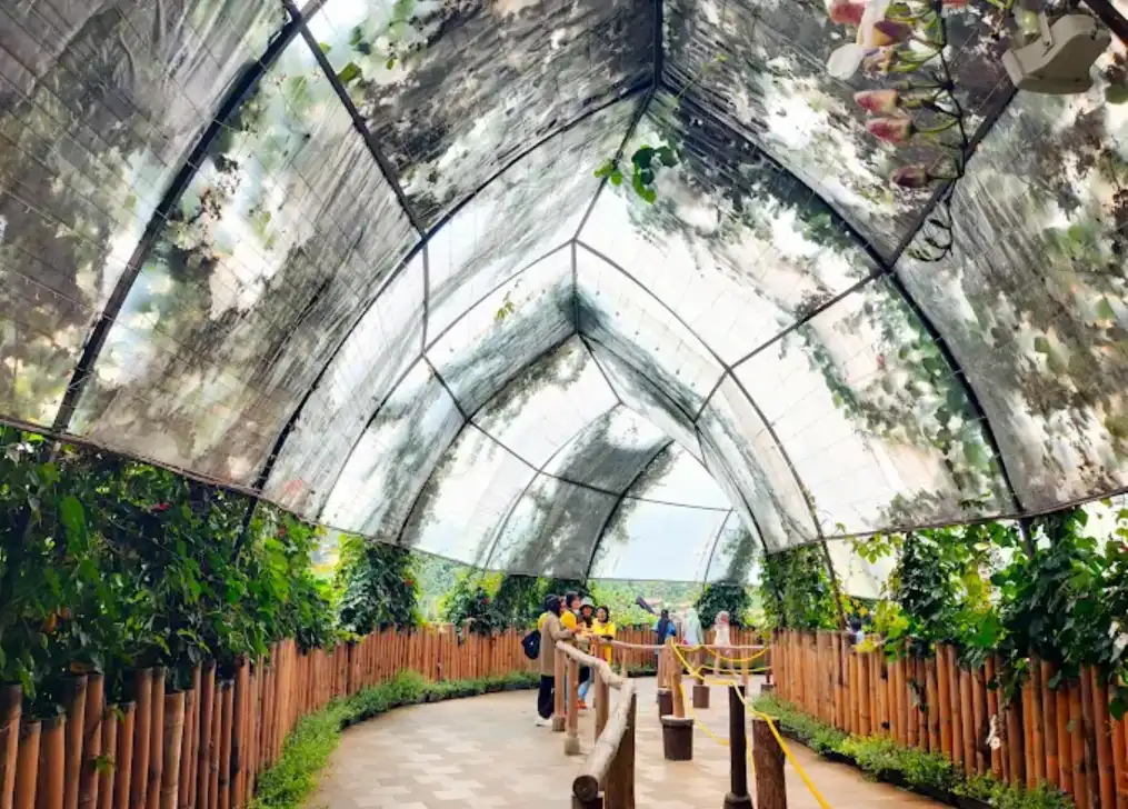 Dusun Semilir Ecopark, ada rombongan kecil yang menikmati suasana teduh