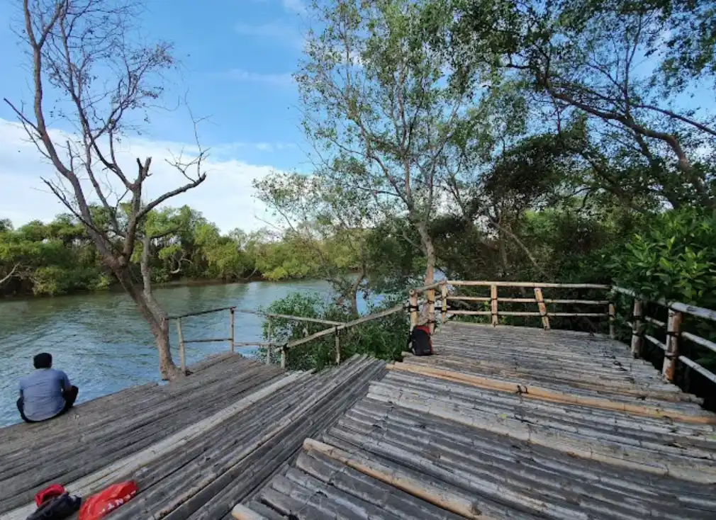 ekowisata mangrove wonorejo surabaya. tampak seorang pria duduk di pinggir jembatan sambul menikmati sungai kawasan mangrove