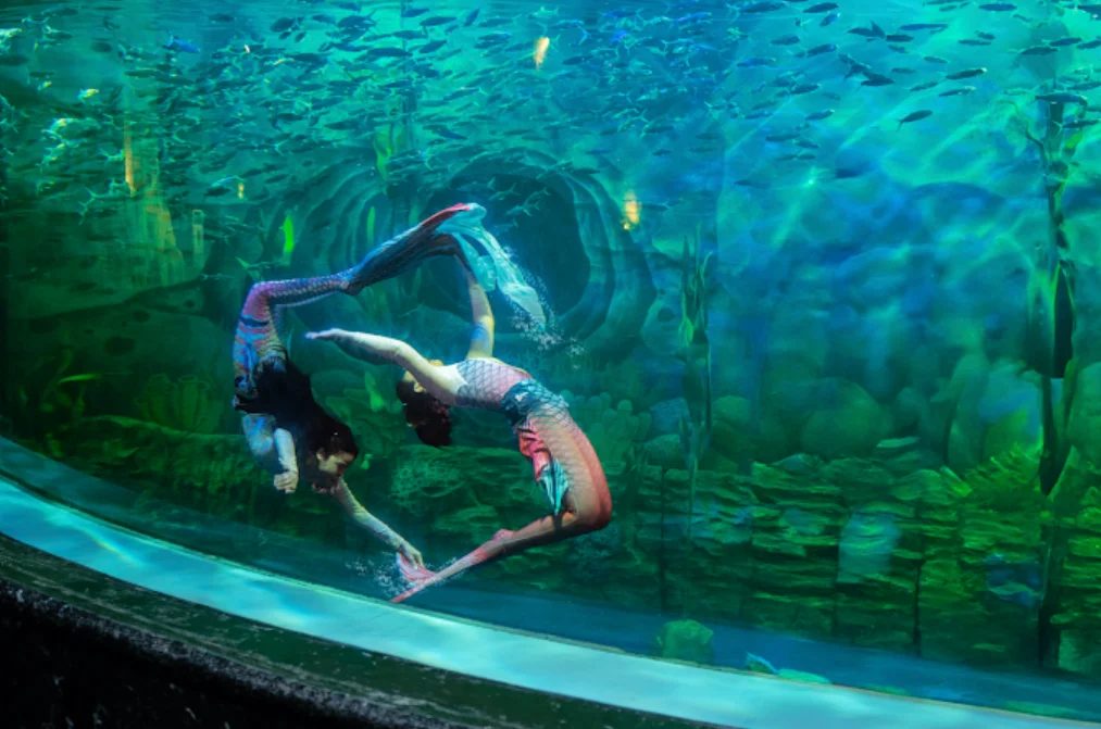 Ocean Dream Samudra (Ancol). 2 orang wanita memerankan menjadi mermaid sedang menari di dalam lautan
