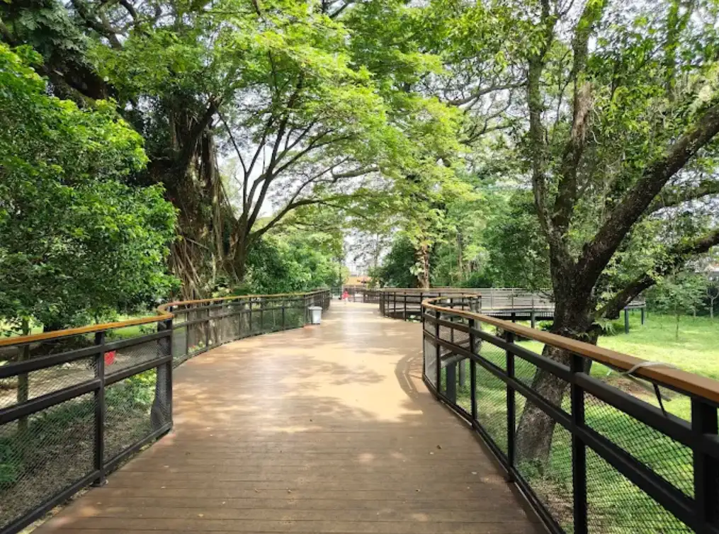 taman balekambang. tempat wisata anak di solo yang gratis. tampak jembatan kayu yang di kelilingi pohon