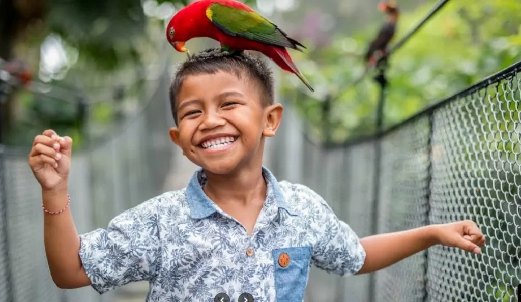 Pertunjukan Bali Rainforest (Free Flight Bird Show)