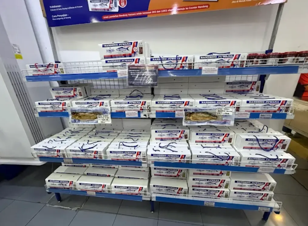 bandeng khas semarang. foto jualan bandeng dalam box