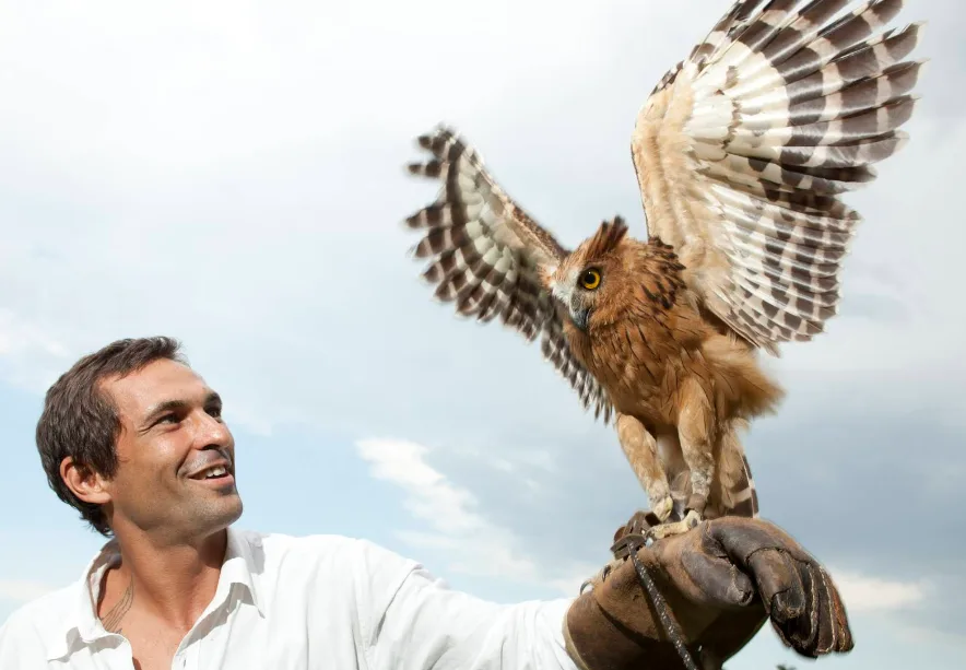 Atraksi Burung Pemangsa "Basic Instinct". disini pawang sedang memegang burung hantu