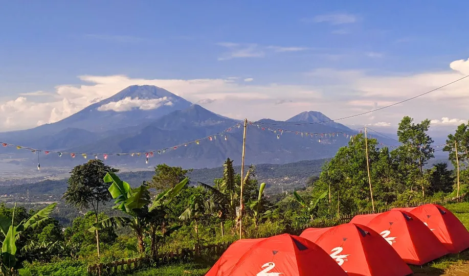 foto tenda merah di basecamp mawar hutan pinus, ada pemandangan pegunungan dan pepohonan