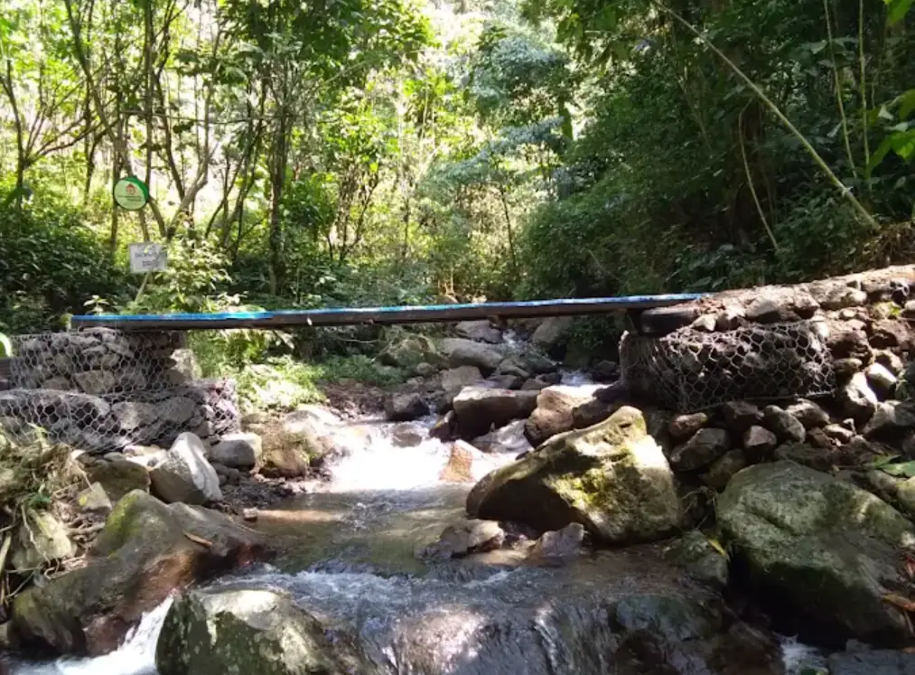 foto curug benowo dan jembatan kecil ditengahnya