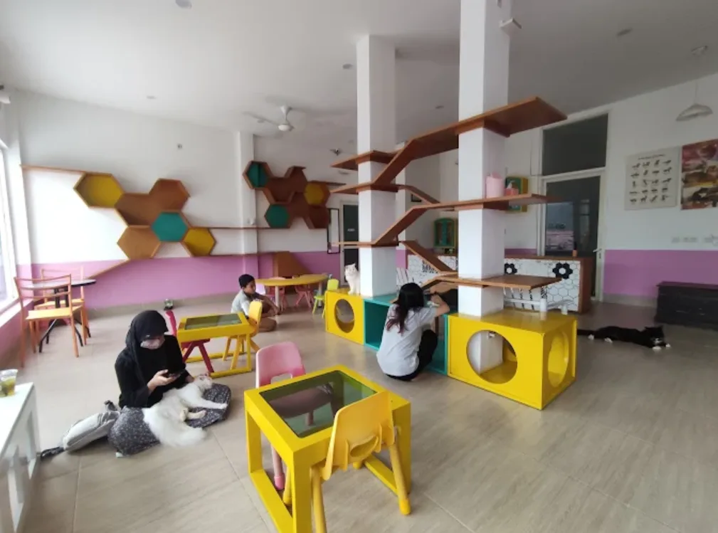 Hello Cat Cafe: Interaksi Manis dengan Kucing-Kucing Lucu