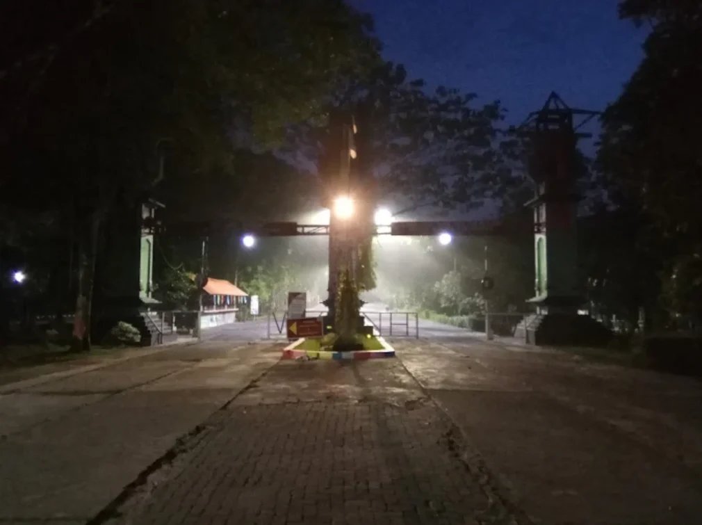 foto pintu masuk hutan tinjomoyo saat malam. remang-remang, lampu sorot kecil, dan pohon rindang