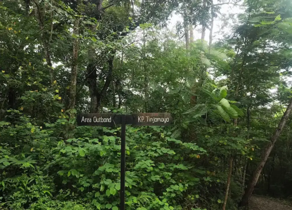 kawasan hutan tinjomoyo dari dalam