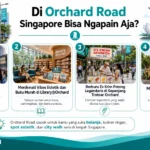 Infografis Di Orchard Road Singapore Bisa Ngapain Aja, menampilkan rekomendasi aktivitas seperti belanja dan berfoto di ION Orchard, menikmati suasana estetik di Library@Orchard, mencoba es krim potong legendaris, dan menjelajahi Emerald Hill.