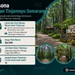 Infografis landscape berjudul “Pesona Hutan Tinjomoyo Semarang” dengan dominasi warna hijau toska, hitam, dan krem yang selaras dengan logo LensaJalan. Menampilkan informasi wisata Hutan Tinjomoyo berupa lokasi dan rute menuju kawasan wisata, harga tiket masuk Rp5.000, jam operasional pukul 07.00–16.00 WIB, serta informasi bahwa destinasi ini ramah untuk anak-anak. Di sisi kanan terdapat foto suasana hutan pinus, jalur pejalan kaki, jembatan kayu, dan area bermain anak. Logo LensaJalan berada di kiri atas, sedangkan watermark www.lensajalan.com