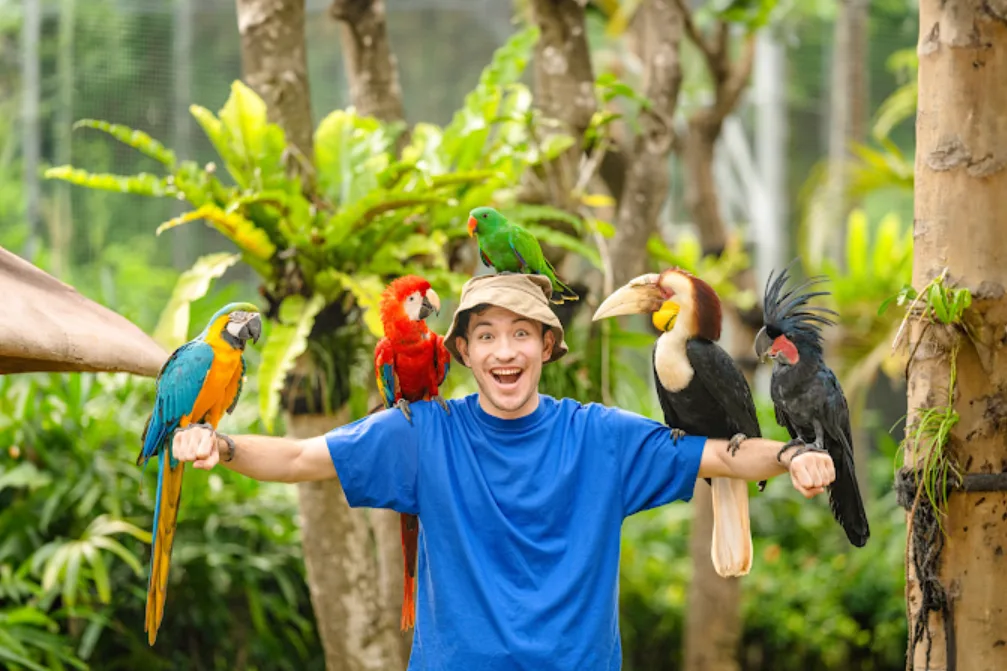 Jakarta Bird Land, Ancol (Jakarta Utara). tampak seorang pria dewasa berfoto bersama 5 ekor burung