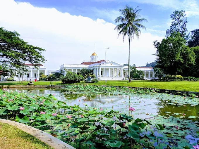 kebun raya bogor tampak dalam