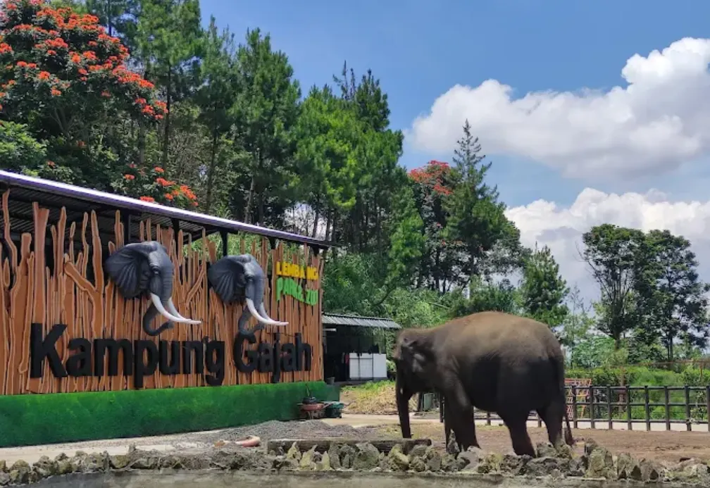 lembang park and zoo, tampak ada gajah yang sedang berjalan