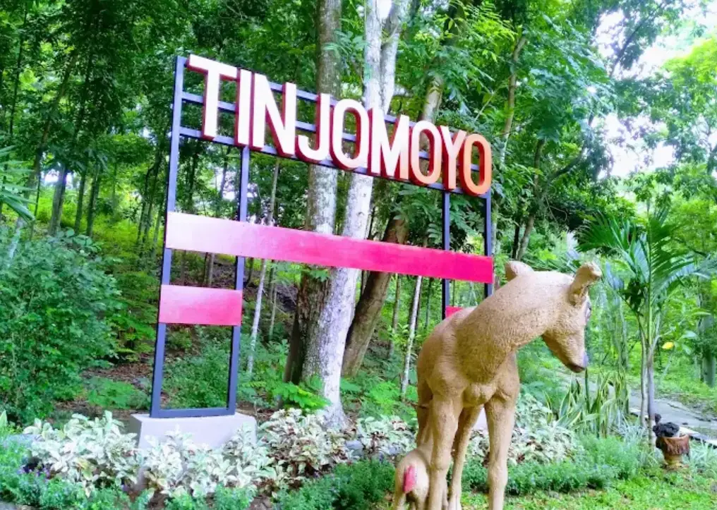 hutan tinjomoyo bagian depan. ada patung hewan