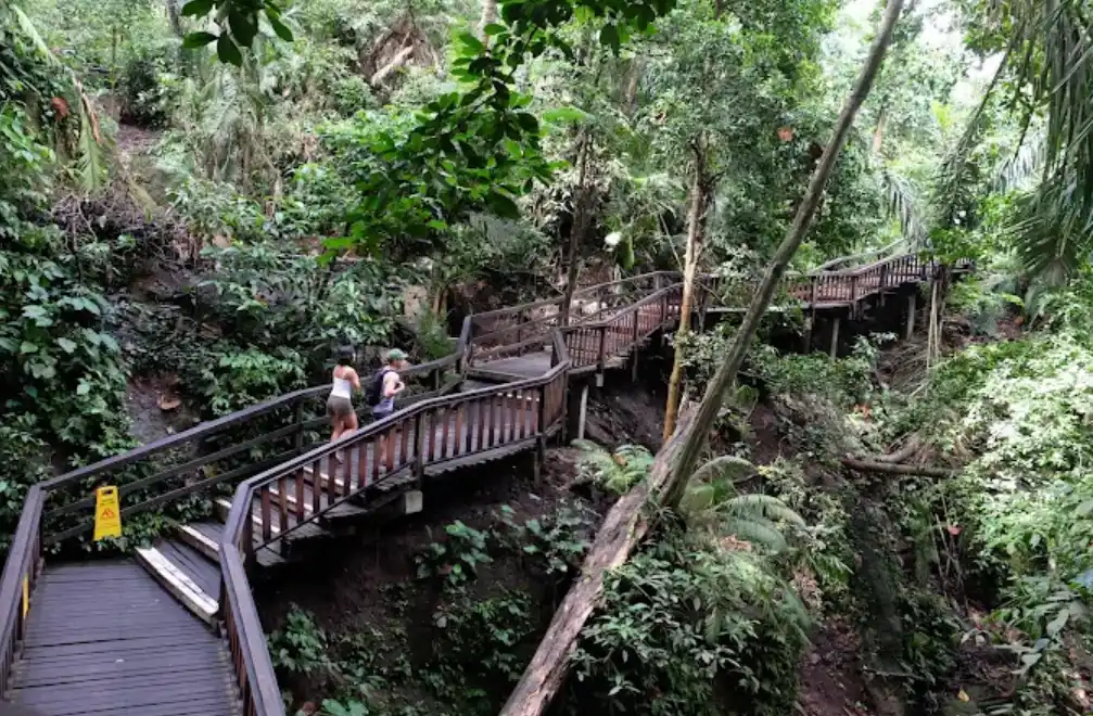 ubud monkey forest. terlihat 2 wisatawan sedang berjalan menikmati monkey forest