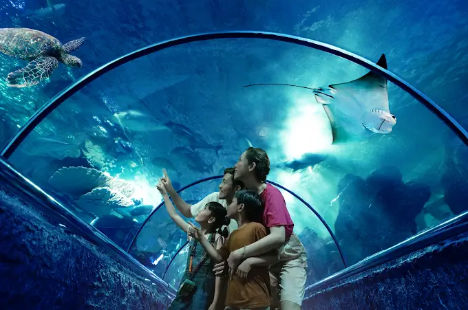 keluarga sedang melihat ikan dari dalam terowongan kaca bawah air di sea world ancol