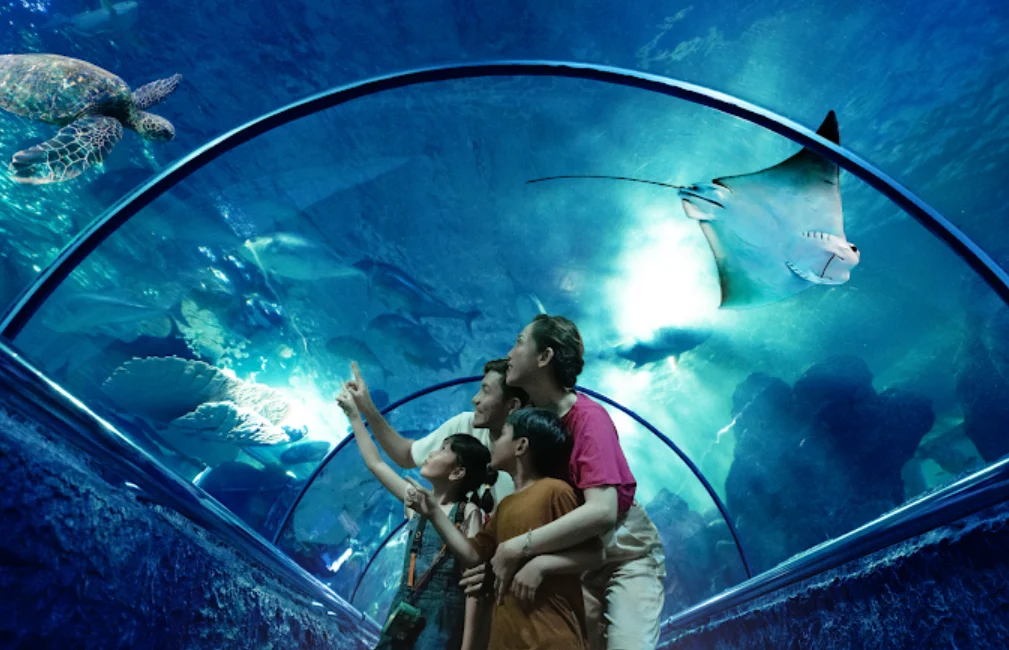 suasana di sea world ancol jakarta. keluarga yang terdiri dari ayah, ibu, dan 2 orang anak sedang melihat penyu