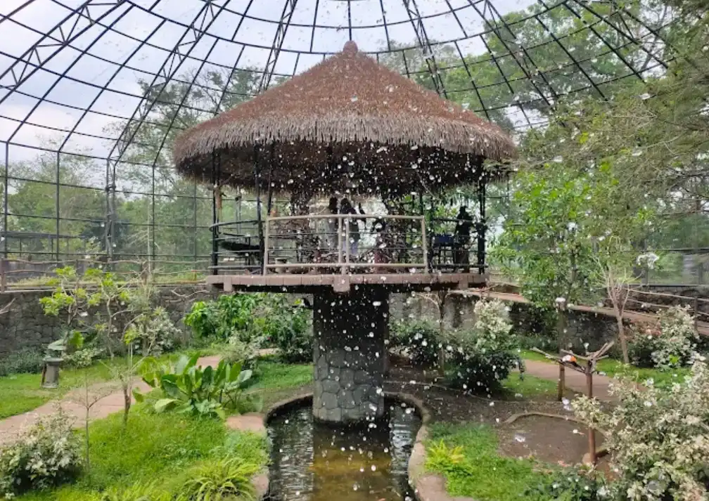 solo safari. cocok untuk wisata anak di solo. tampak cipratan air dan joglo.