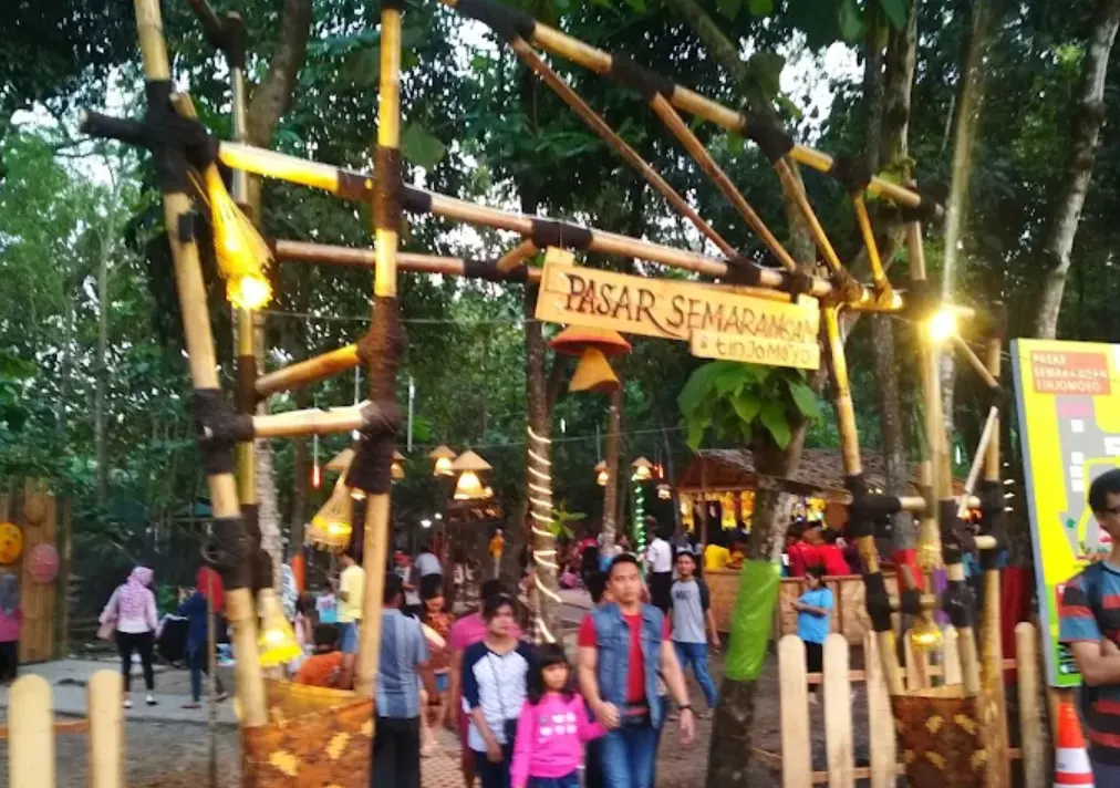 Suasana Alam dan Daya Tarik di Dalam Hutan