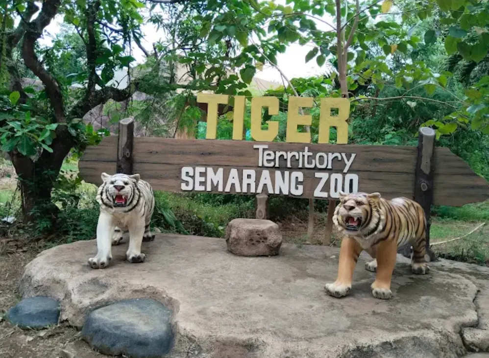 foto taman margasatwa atau semarang zoo