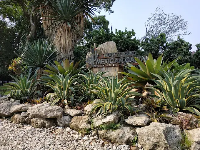 taman meksiko di kebun raya bogor