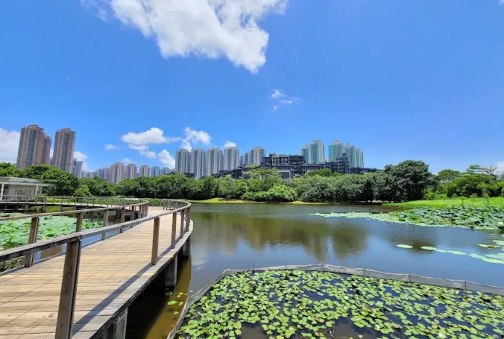 Hong Kong Wetland Park