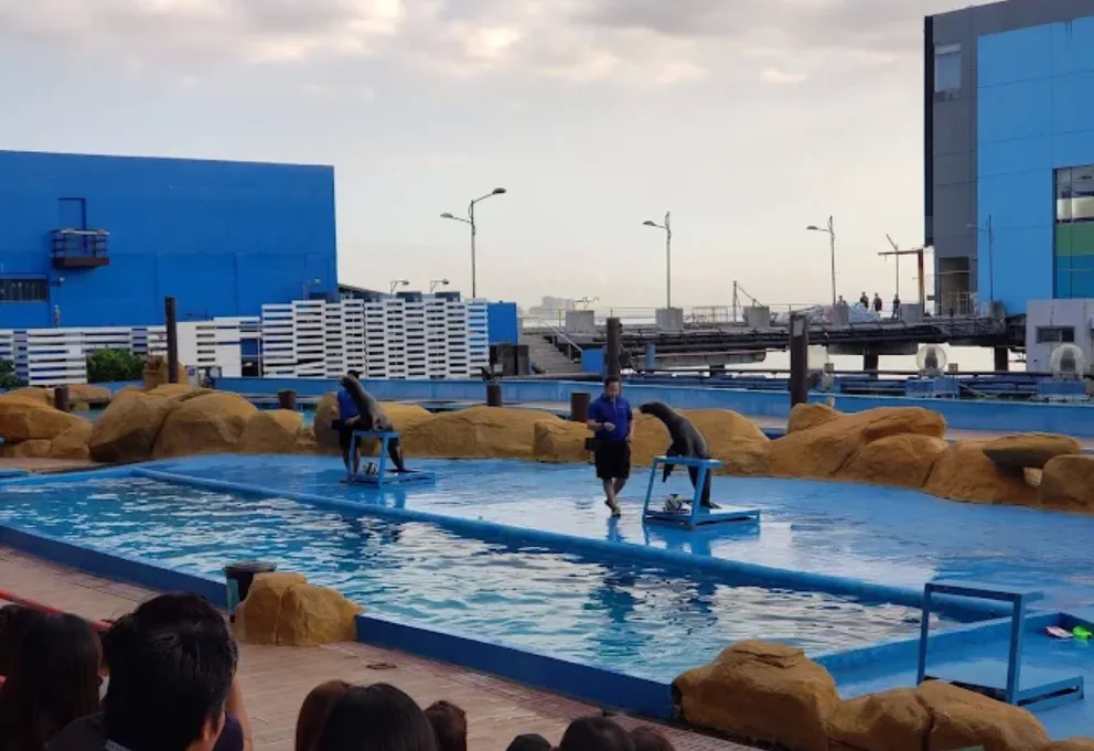 Manila Ocean Park - Wisata Edukasi Kehidupan Laut