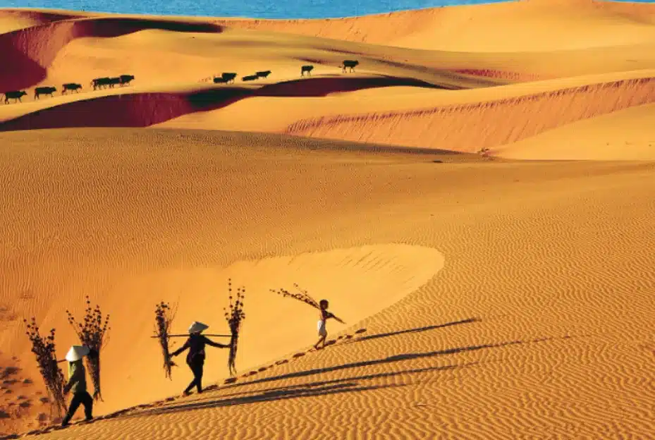 Mui Ne Sand Dunes - Binh Thuan