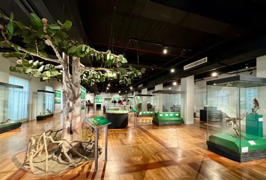 National Museum of Natural History