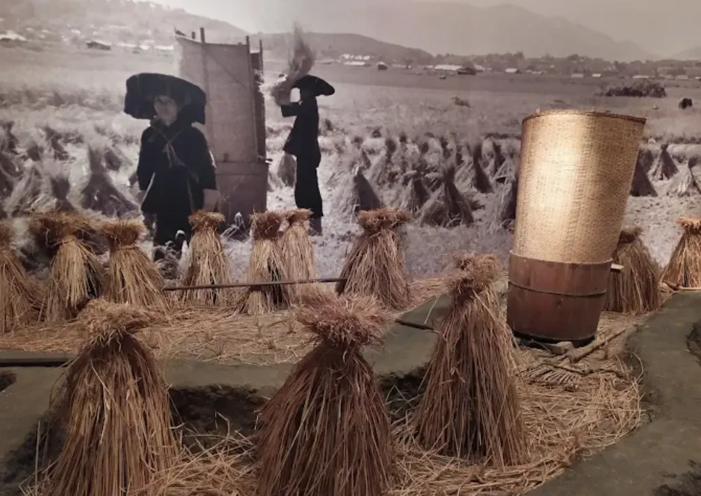 Hong Kong Museum of History